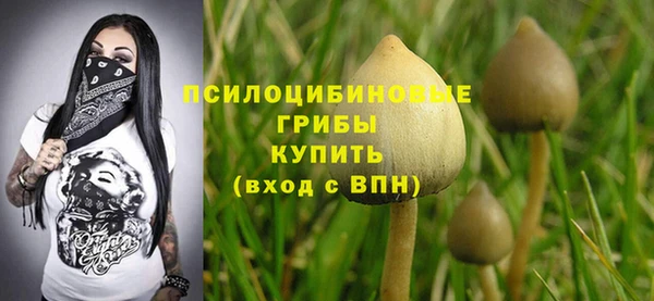 мескалин Арсеньев
